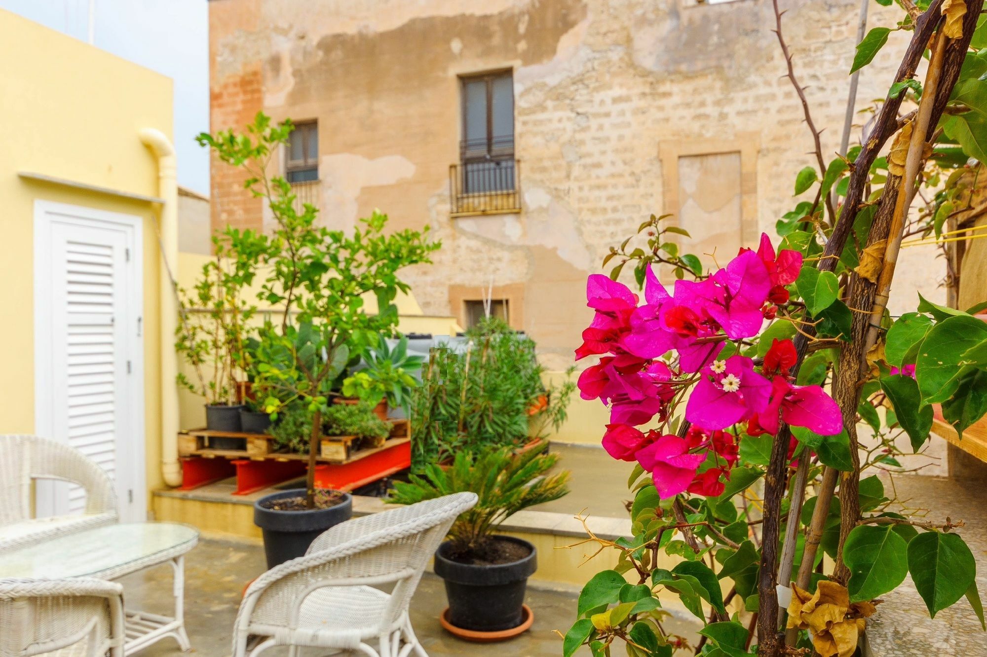 Le Vie Di Trapani Apartment Luaran gambar